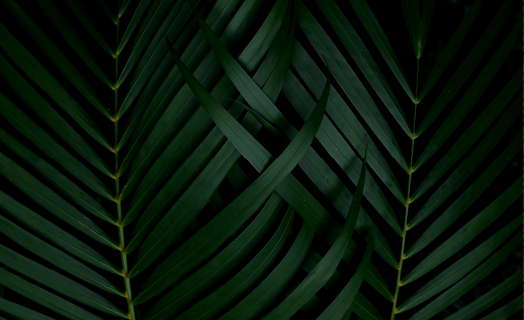 https://southrim.in/wp-content/uploads/2020/03/inner_01_02.png
